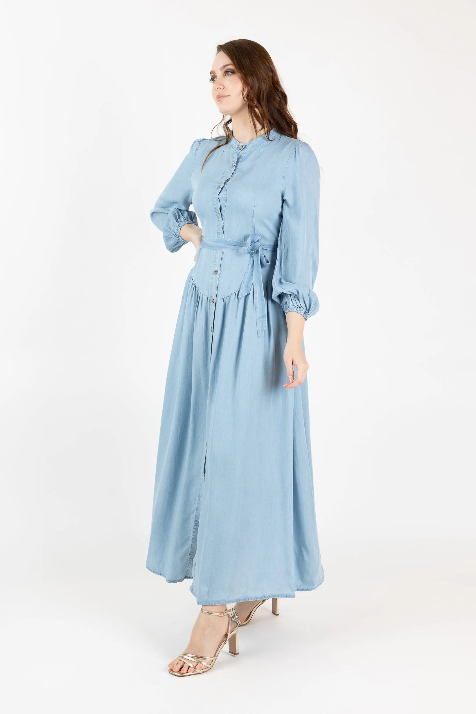 Lilianna Button Denim Dress