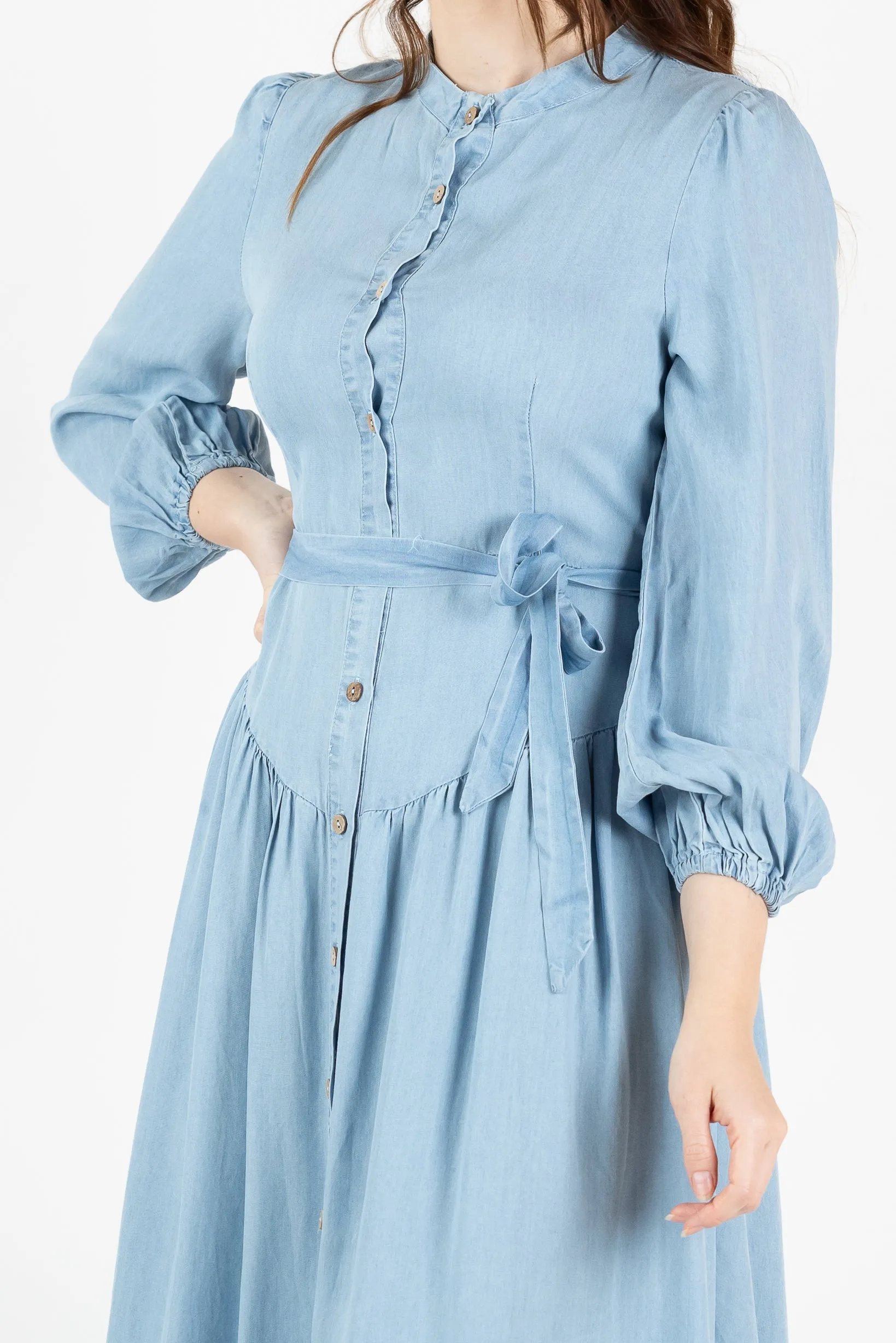 Lilianna Button Denim Dress