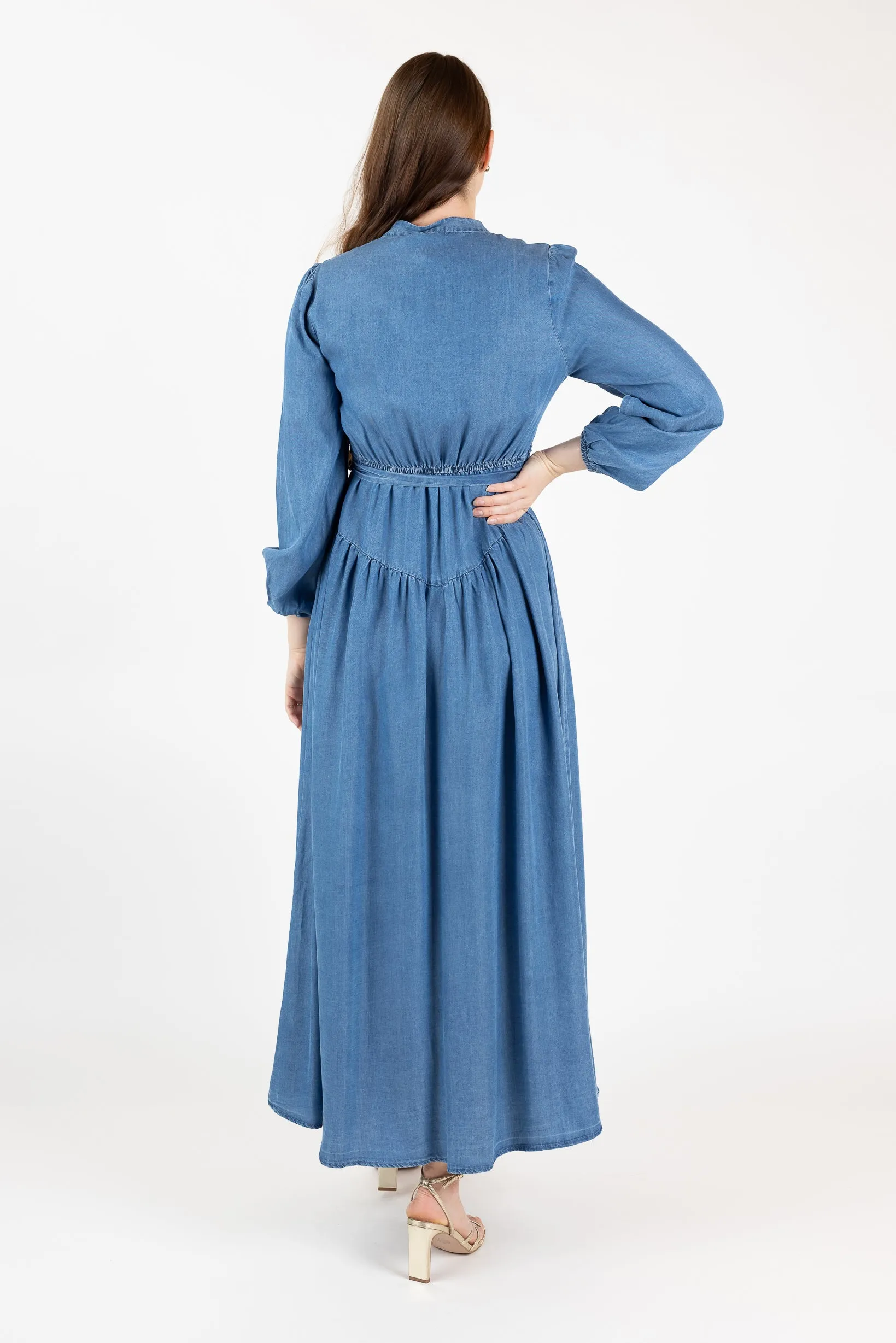 Lilianna Button Denim Dress