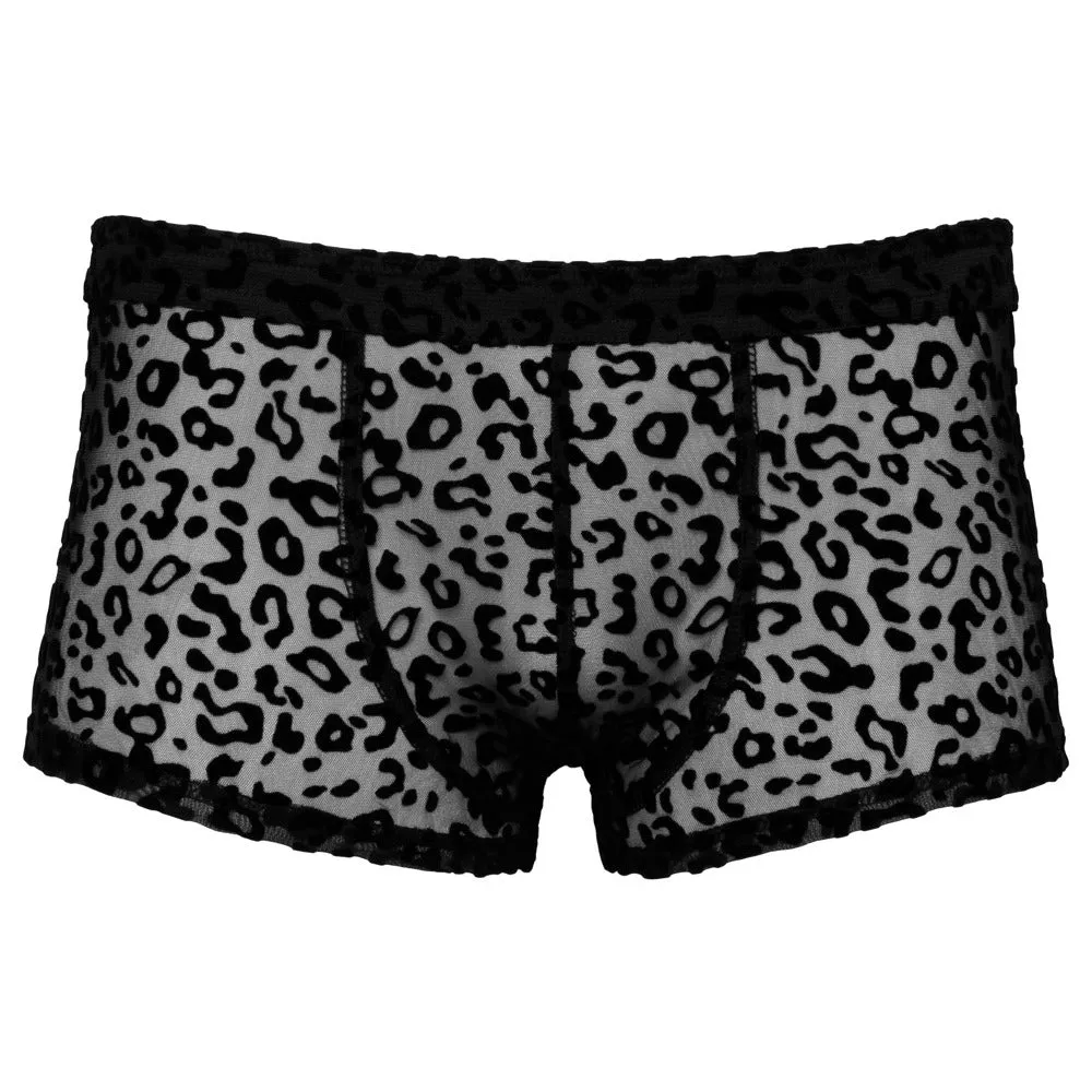 Noir Sheer Animal Print Pants