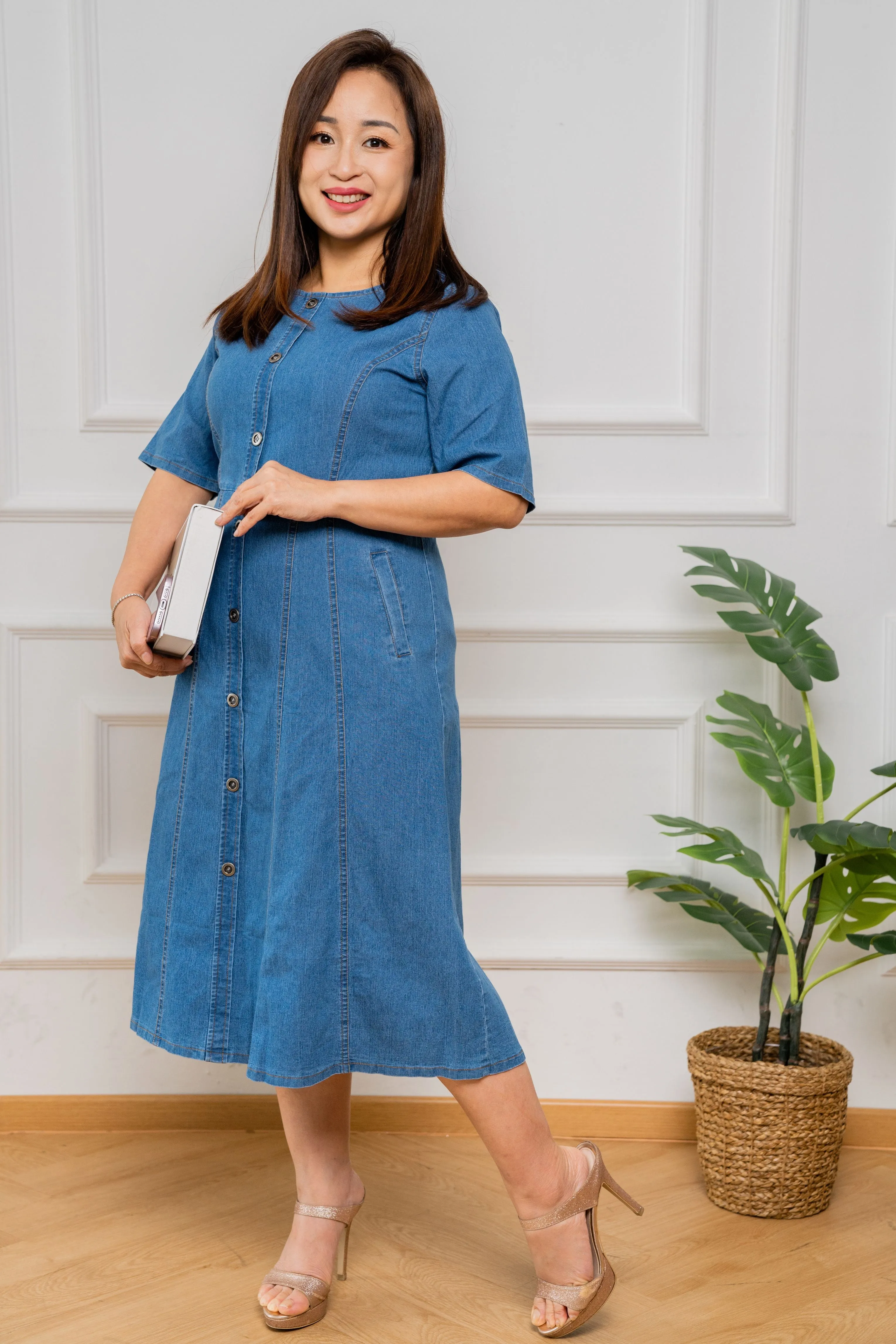 Princess A line Denim Dress