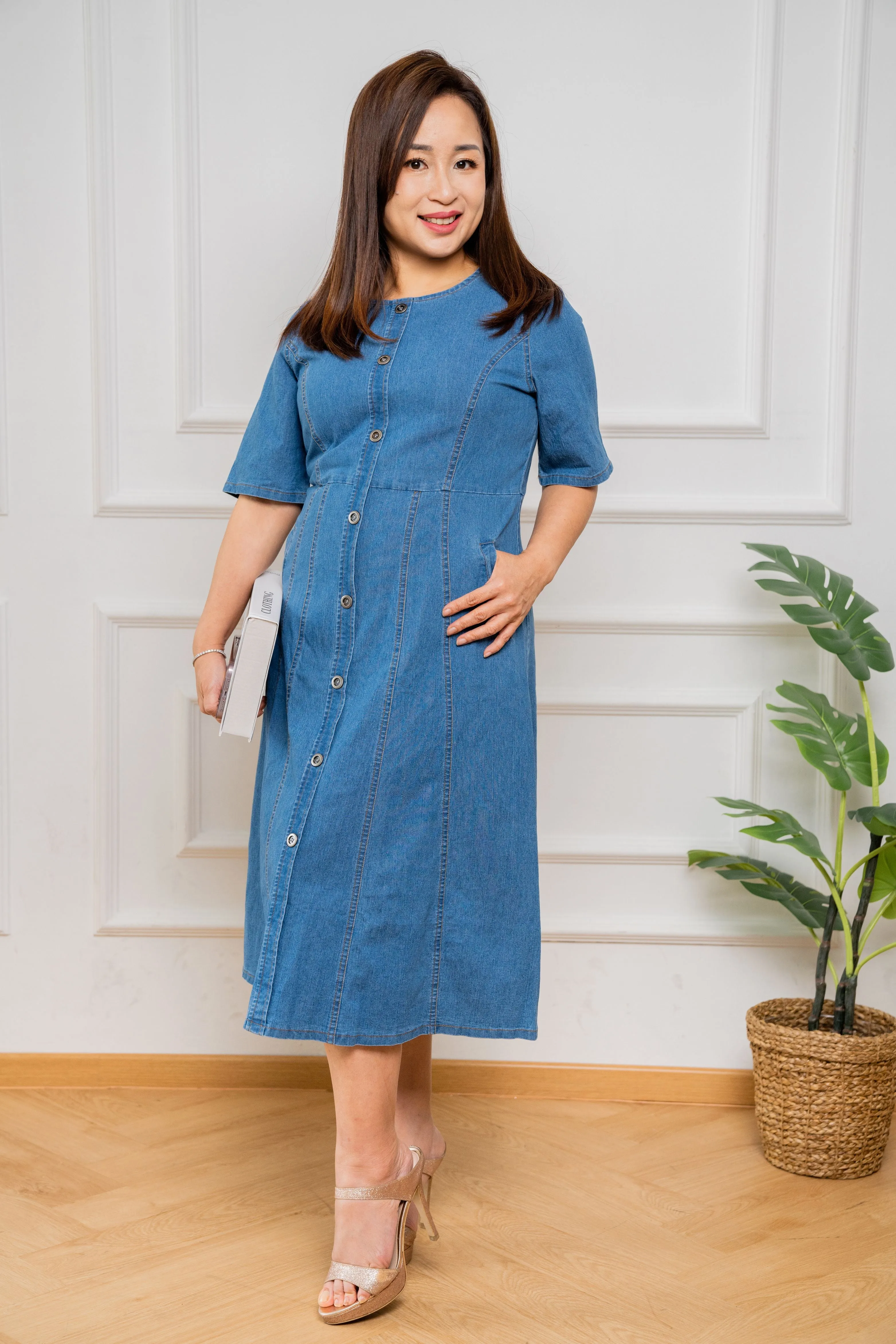 Princess A line Denim Dress