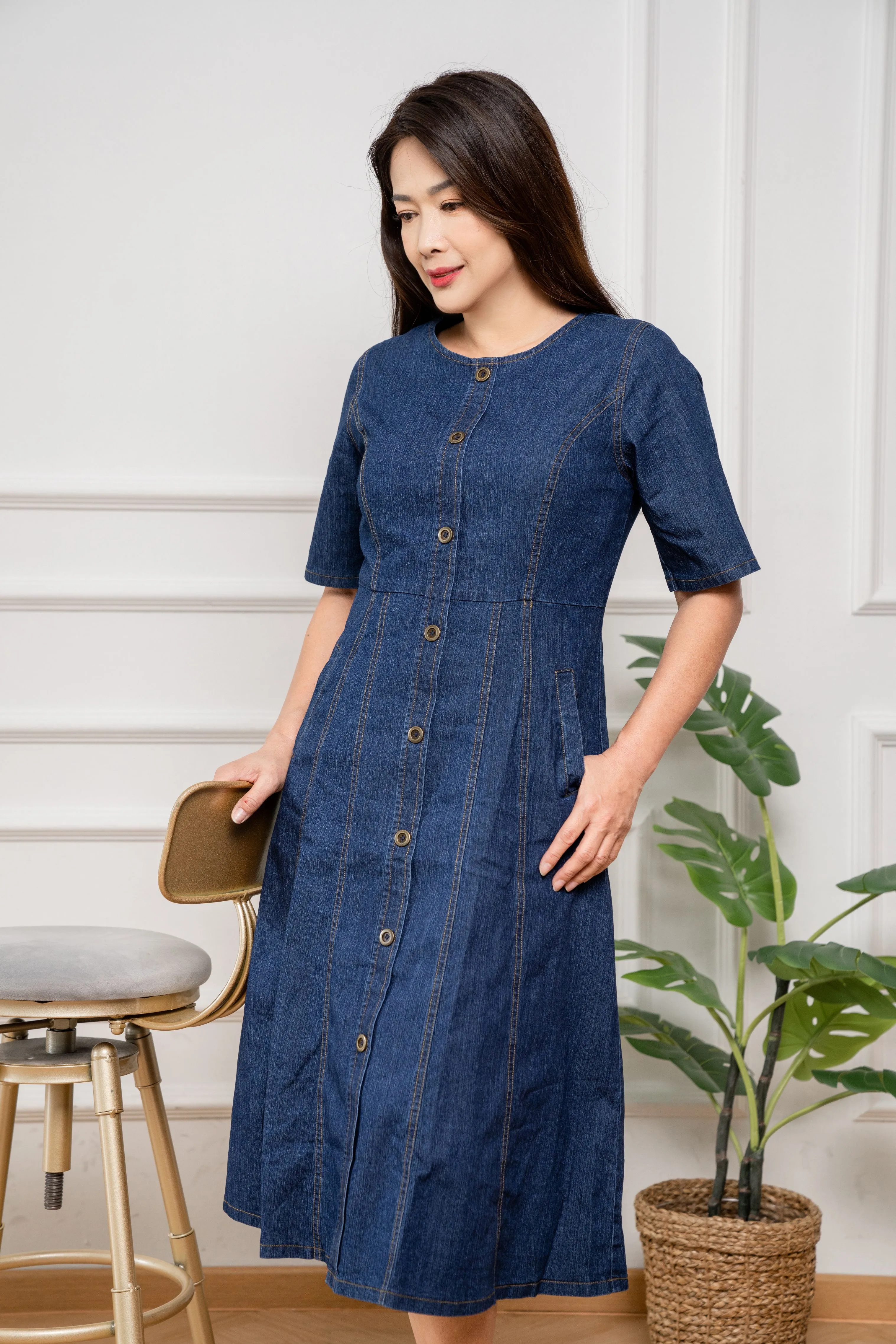 Princess A line Denim Dress