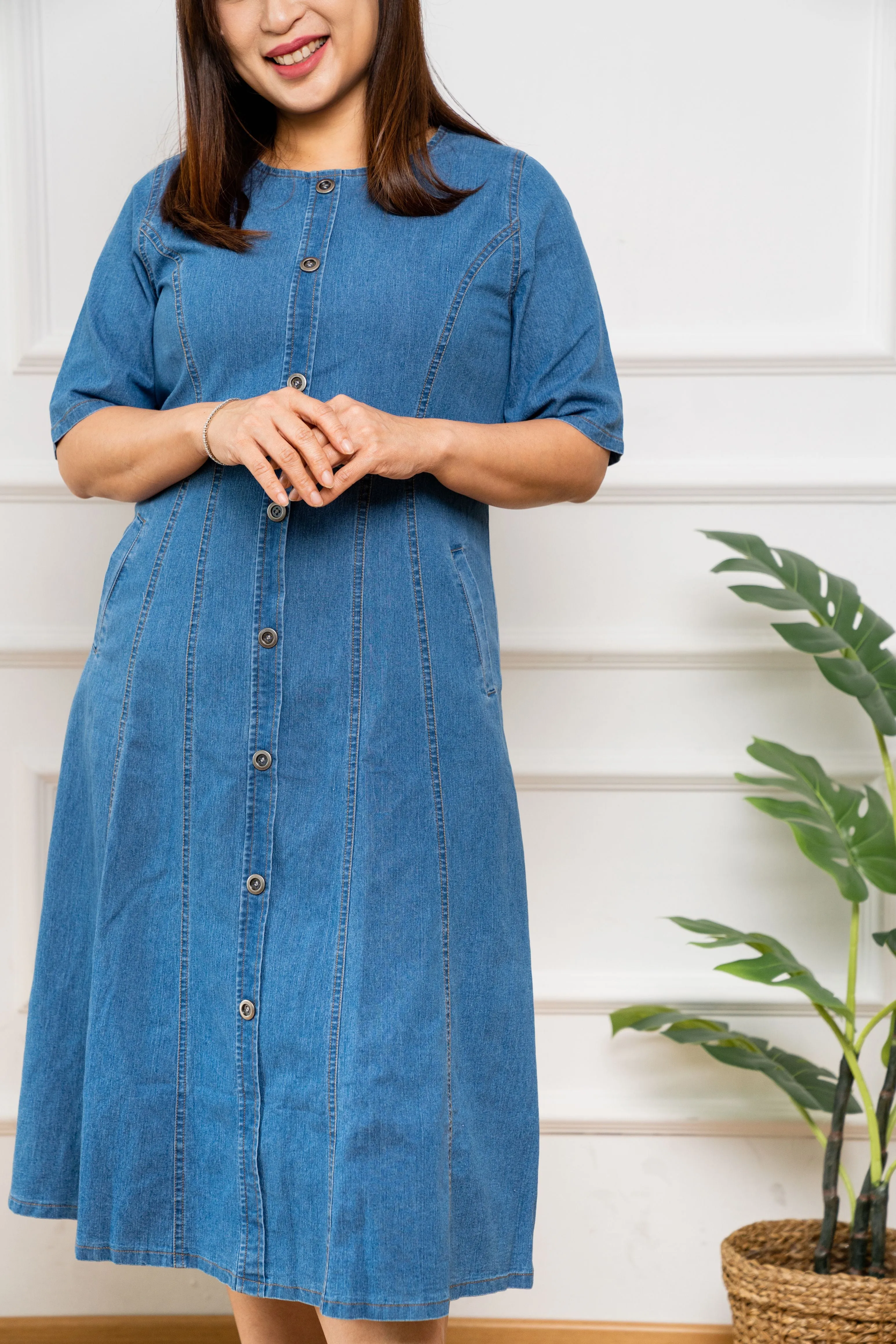 Princess A line Denim Dress